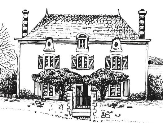 🍇 Mise en ligne du site du Domaine des Clérambaults – EARL Terrien