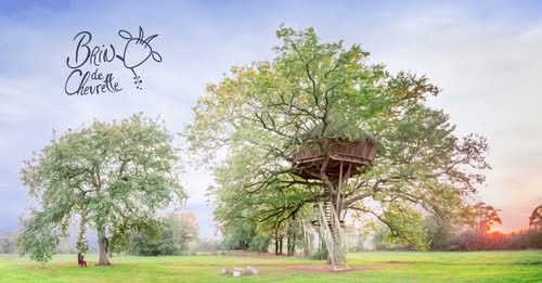 Capture du site Brin de Chevrettes