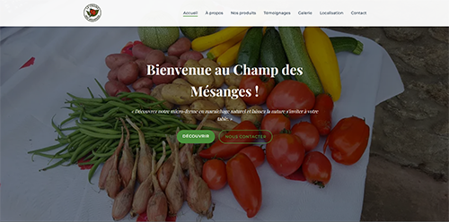 Capture du site Le Champ des Mésanges